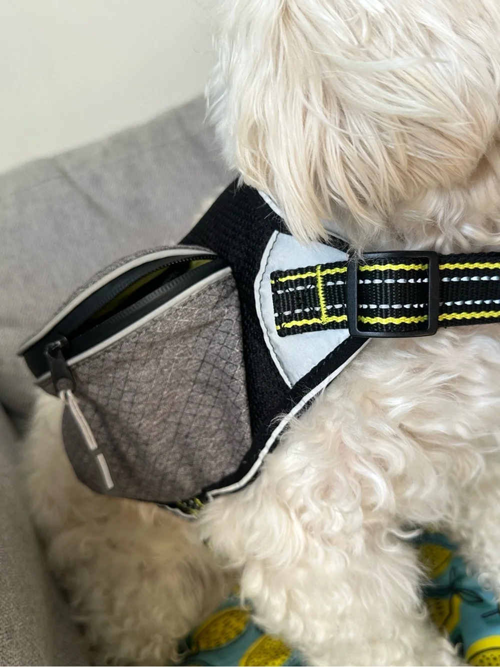 NEW Arcadia Trail Dog Harness Reflective Backpack Mesh lightweight grey S M pet